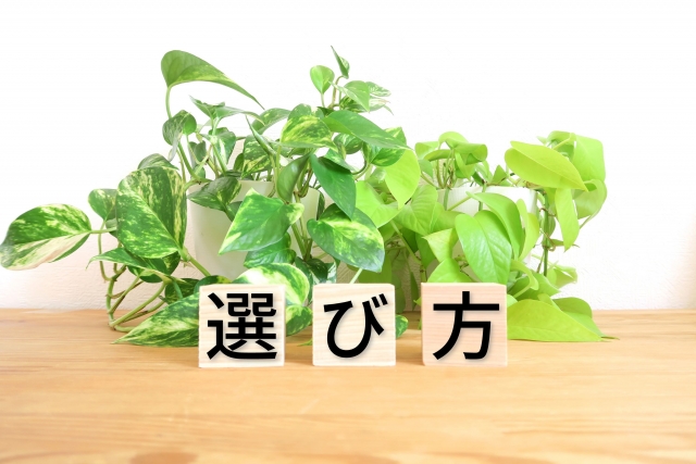 光回線を引いて後悔しないための3つの選び方